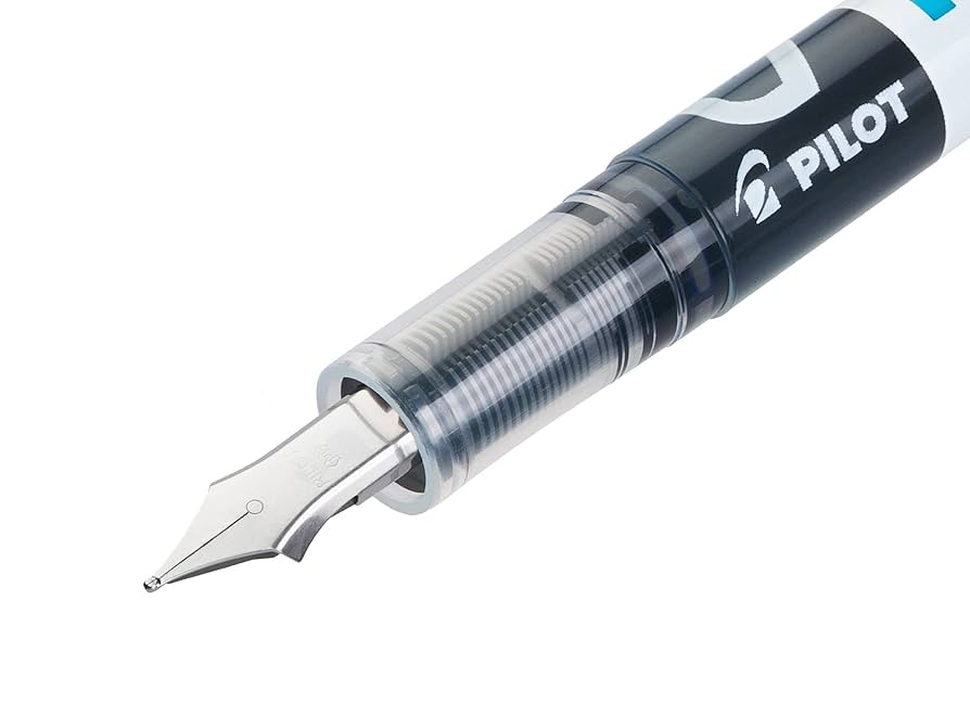 Amazon.com : PILOT V PEN - Erasable Disposable Fountain Pen